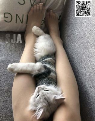 乘龙怪婿第一季粤语版在线观看_1080P电影完整版在线观看