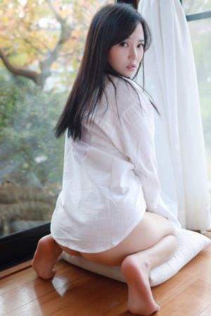 以爱为营免费观看电视剧完整版_超清免费观看电视剧